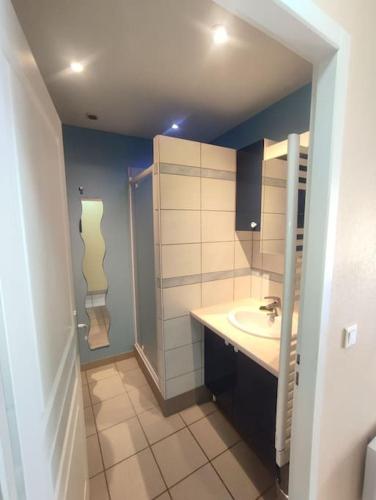 une salle de bain avec un lavabo et une douche dans l'établissement Gîte rural le Rouchassier, à Saint-Laurent-du-Cros