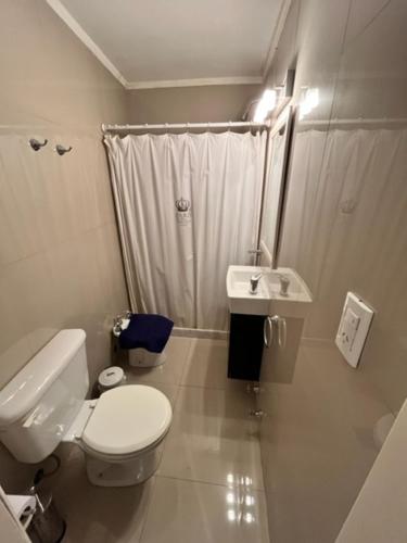 a white bathroom with a toilet and a sink at Departamento en el corazón de Recoleta, Triángulo de Oro in Buenos Aires