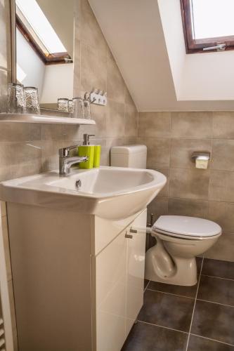 a bathroom with a sink and a toilet at Apartment Silvia in Slunj