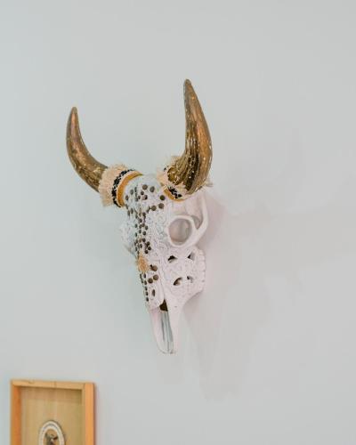 a mounted bull head with horns on a wall at Studio Nicehome Massena in Nice
