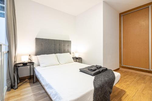 Segismundo FreshApartments
