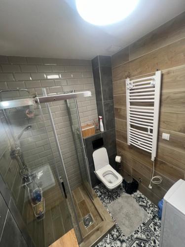 Koupelna v ubytování Golden Forest apartman 7