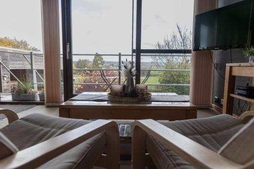 a living room with a tv and a large window at Le Petit Logis in Jalhay