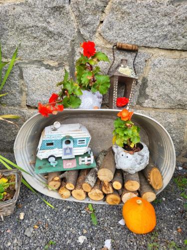 a miniature garden with a house and flowers in a bowl at Ferienwohnung Am Wasserturm mit kleinem Bauernhof in Baruth