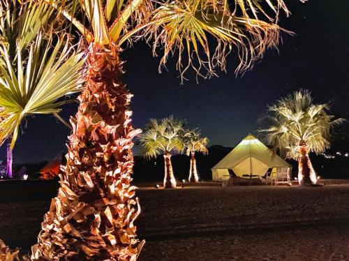 a group of palm trees and a tent at night at The Castle House Estate in Joshua Tree