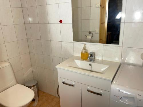 a bathroom with a sink and a toilet and a mirror at Villa Saimaa in Vuoriniemi