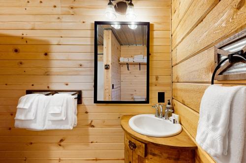 uma casa de banho com um lavatório e um espelho em Brown Bear Cabin em Tomahawk