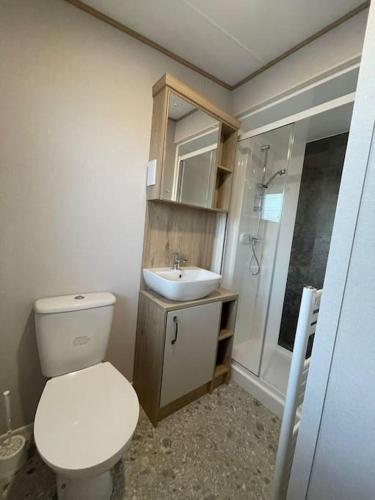 a bathroom with a toilet and a sink and a shower at Cornwall Holiday Cabin with Hot tub & Sea view in Cubert