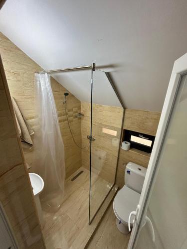 a bathroom with a toilet and a shower at Casa Berbec2 in Dealul Viei