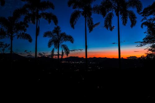 a group of palm trees in front of a sunset at Aldea Sabatinga in Manizales