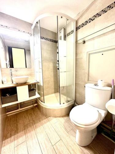 een badkamer met een toilet, een douche en een wastafel bij Charmant studio Beaugrenelle in Parijs