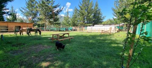 a dog standing in the grass next to a horse at Cabañas rio Biobio in Callaqui