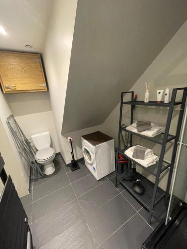 La petite salle de bains est pourvue de toilettes et d'un four micro-ondes. dans l'établissement Le Repos du Vignoble, à Ribeauvillé