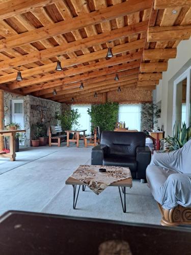 Gladna Romînă的住宿－Pensiunea Casa Amy，客厅设有木制天花板