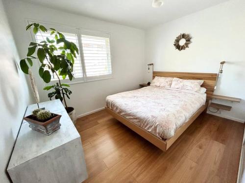 a bedroom with a bed and a potted plant at One bedroom apartment and CARPORT close to beaches, airport,CBD in Sydney