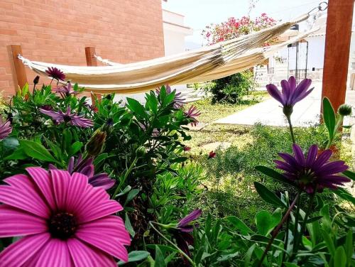 a hammock in a garden with purple flowers at Amplia Casa de Campo con Piscina en Cieneguilla in Cieneguilla