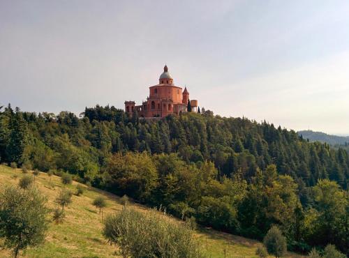 Příroda nedaleko apartmánu