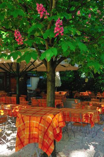Zahrada ubytování Austria Classic Hotel Hölle