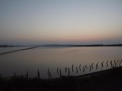 a group of birds standing in a body of water at MareSole a Capitana in Capitana