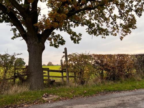 a tree sitting next to a bench next to a tree at Marmalade Barn Guest Suite with wet room in Rugeley