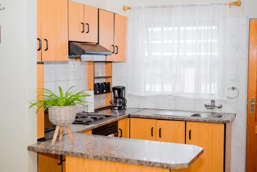 a kitchen with wooden cabinets and a potted plant on a counter at Davi Bliss in Oshakati