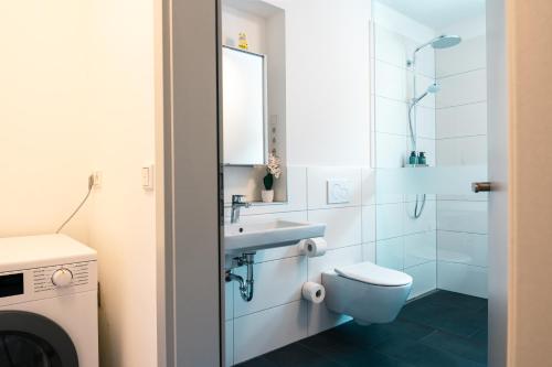 a bathroom with a sink and a toilet at Luxuswohnung am Steinhuder Meer - Tierfreundlich - B in Wunstorf