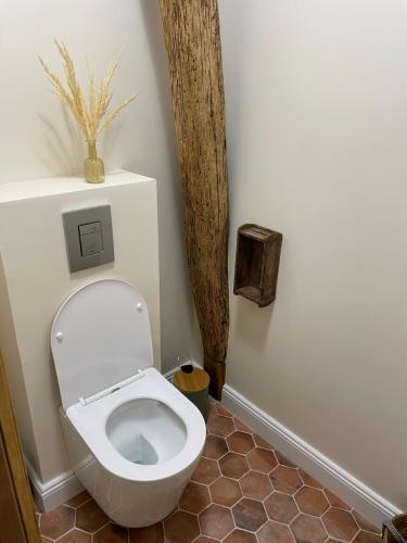 a bathroom with a toilet with a plant on the wall at Gîte du fournil « Chez Nicole » in Ully-Saint-Georges