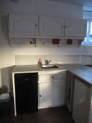 a kitchen with white cabinets and a black dishwasher at Ti an traõn le petit gîte en cœur de Bretagne in Carhaix-Plouguer