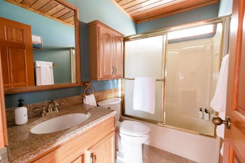 a bathroom with a sink and a toilet and a shower at Luxury Beach Home Ocean View Sonos in Langley