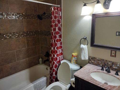 a bathroom with a toilet and a sink and a shower at Rustic house on Lake Tawakoni in Hawk Cove