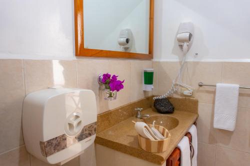 巴克里索莫雷諾港的住宿－La Zayapa Hotel，浴室配有盥洗盆和吹风机