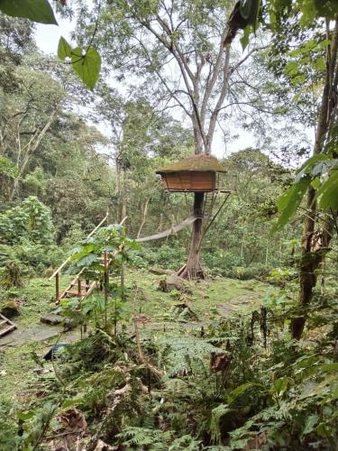 Galeriebild der Unterkunft Casa del Árbol in Cundinamarca