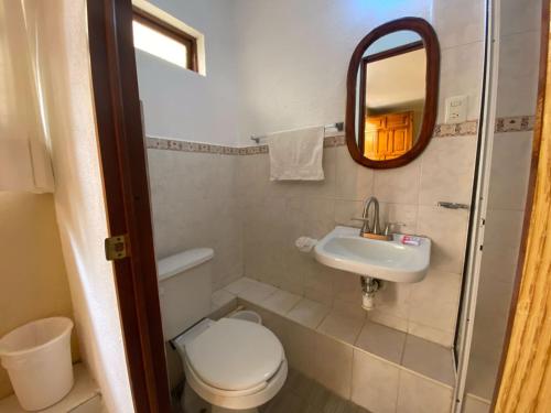a bathroom with a toilet and a sink and a mirror at HOTEL CAMELINAS AREA BLANCA in Pátzcuaro