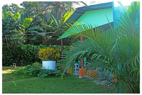 Ein Garten an der Unterkunft Hone sweet Hone (Piscine)