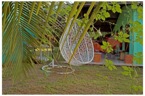 Ein Garten an der Unterkunft Hone sweet Hone (Piscine)