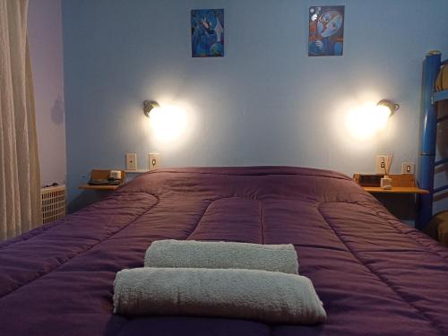 1 dormitorio con 1 cama grande y 2 toallas. en "A" SPAcio HOSTEL -HABITACION PRIVADA- en Mendoza