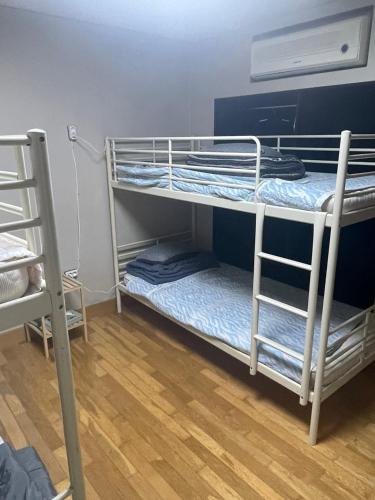 a room with two bunk beds and a ladder at Hanra guesthouse in Jeju
