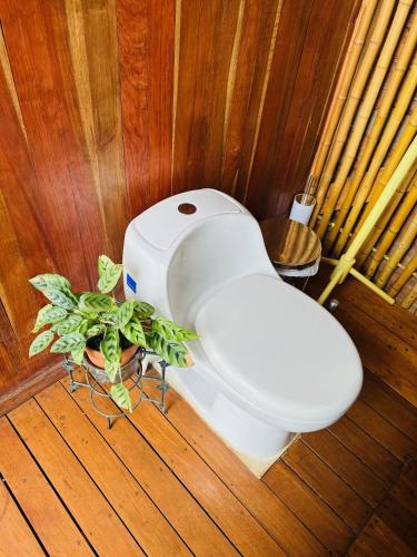 a bathroom with a toilet with a plant in it at Eco Glamping Cordillera in Buenavista