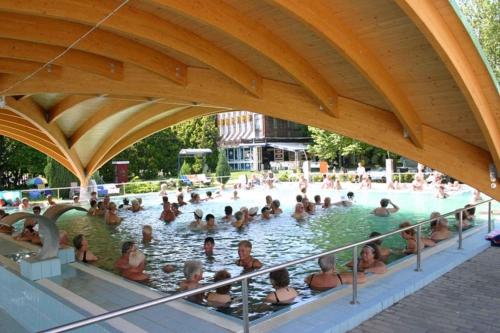 un groupe de personnes dans une piscine dans l'établissement Apartment in Igal - Südtransdanubien 45335, à Igal