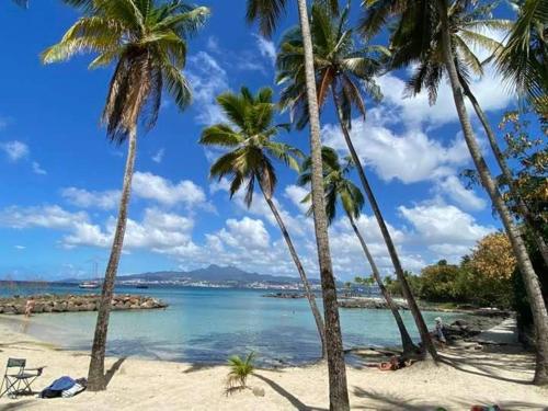 Foto Maison F2 aux Trois-Îlets, Martinique - FR-1-765-8 4