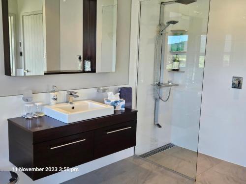 a bathroom with a sink and a shower at House on the Hill in New Plymouth