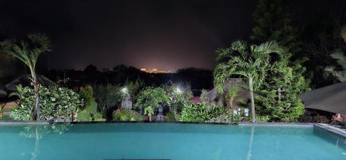 a swimming pool at night with trees and palm trees at Villa Anjing in Nusa Dua