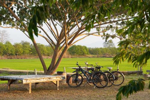 a group of bikes parked next to a bench under a tree at Ha Me Garden ฮามีการ์เด้น โฮมสเตย์ฝาง in Fang
