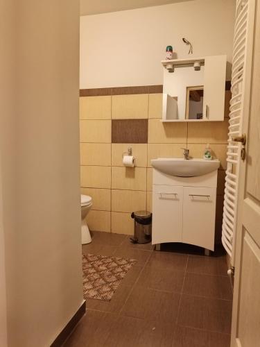 a bathroom with a sink and a toilet at Török Kulcsosház in Băile Homorod