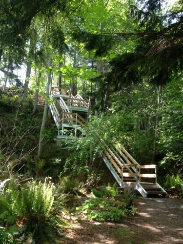 a group of wooden stairs in the woods at Forest by the Sea Rentals in Merville