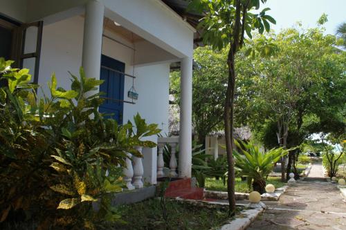 a white house with a blue door and trees at Driftwood Beach Lodge in Jambiani