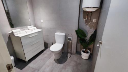 łazienka z toaletą, umywalką i rośliną w obiekcie Boutique 2 apartamento Ave centro Lleida w mieście Lleida