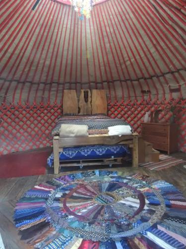 Yourte rustique sur petite ferme – Photos 3