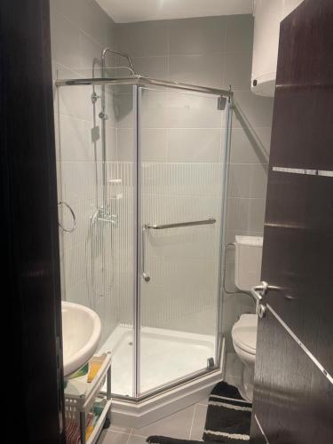 a shower stall in a bathroom with a toilet at Ski apartman - Mujen classic in Kopaonik