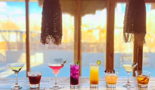 a group of different colored drinks on a table at Dolkhar Resort in Leh